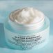 Зволожуючий крем для обличчя Peter Thomas Roth Water Drench&reg; Hyaluronic Cloud Cream Hydrating Moisturizer 50 м 2516 фото 1