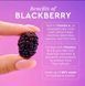 Сироватка з ретинолом Glow Recipe Blackberry Retinol Blemish Serum 30 мл 545 фото 3