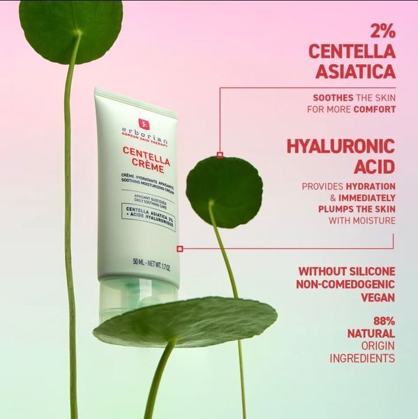 Зволожуючий крем для обличчя з центеллою Erborian Centella Cr&egrave;me Hydratante Apaisante 50 ml 166 фото