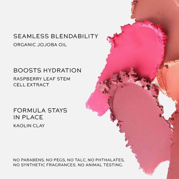 Рум'яна стик Westman Atelier Mini Petite Baby Cheeks Lip + Cheek Cream Blush Stick Petal 2587291744 фото